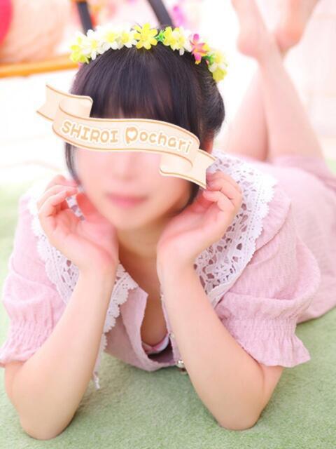 せな 白いぽっちゃりさん仙台店（ぽっちゃり専門デリヘル）