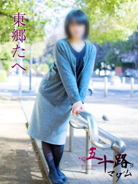 東郷たへ 五十路マダムエクスプレス横浜店（カサブランカグループ）（熟女デリヘル）