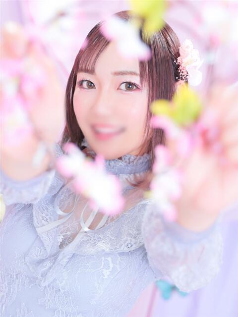 桜花 ナイスレディ（ソープランド）