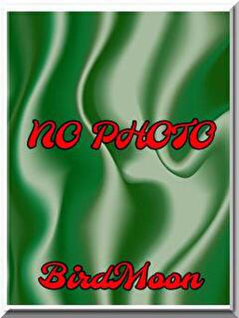 《新人》 静 (シズカ) バードムーン（人妻デリヘル）