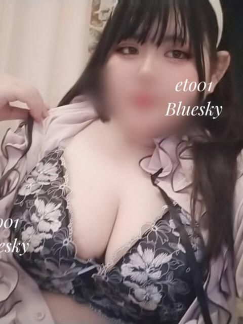 えと☆ 豊橋豊川ちゃんこ(ぽっちゃり専門デリヘル)