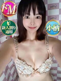 あいこ 奥様特急　上野・鶯谷店（鶯谷/デリヘル）