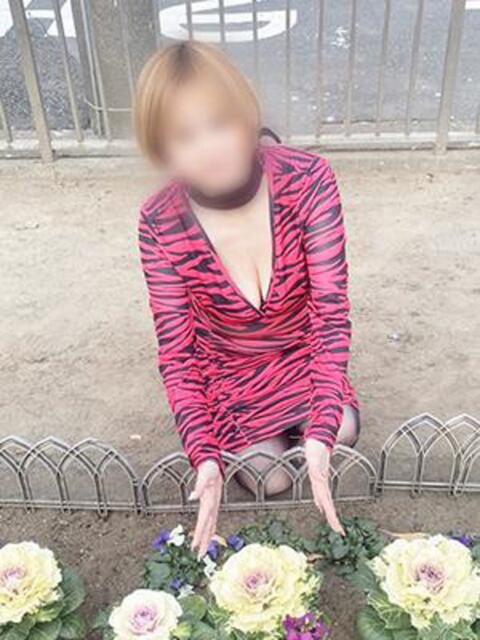 足立 西川口デッドボール（デリヘル）