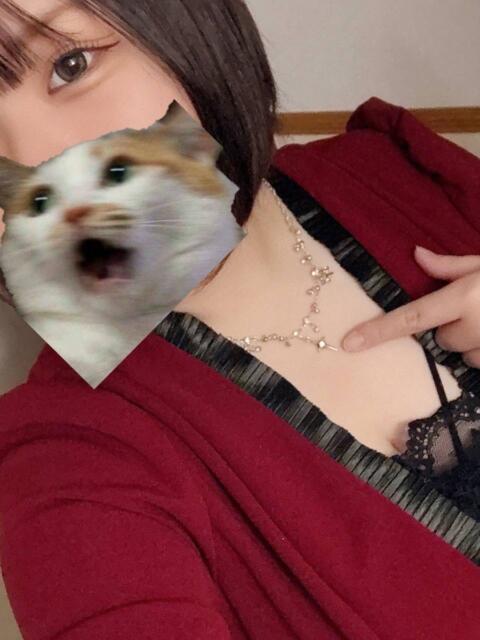 せいな ぽっちゃり巨乳専門店 町田相模原ちゃんこ（ぽっちゃり専門デリヘル）