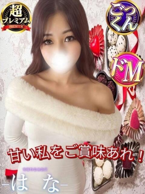 はな 奥様特急　立川店（人妻系デリヘル）
