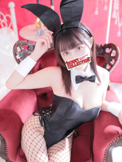 エリカ バニーコレクション秋田店（ソープランド）