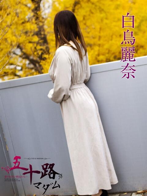 白鳥麗奈 五十路マダムエクスプレス横浜店（カサブランカグループ）（熟女デリヘル）