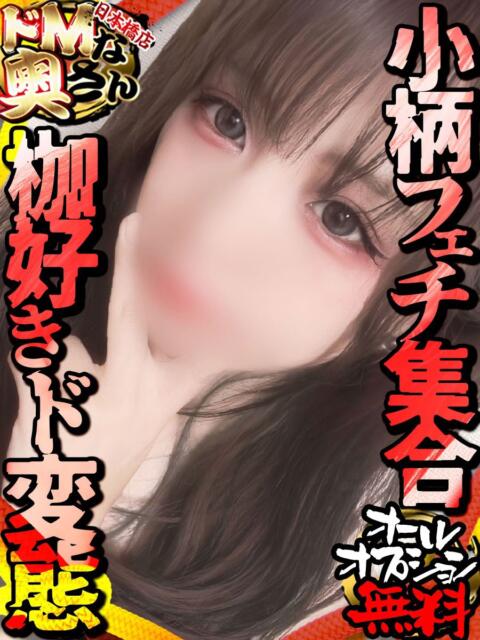 ニノ ドMな奥さん 日本橋店（ホテヘル）