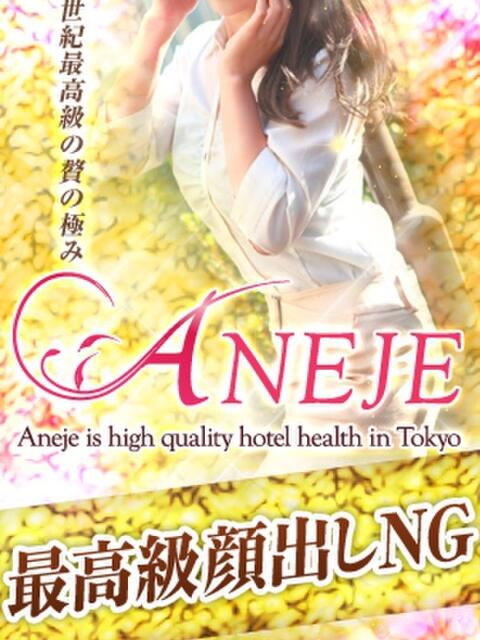 明日美/あすみ 五反田アネージュ（ユメオト）（人妻系ホテヘル＆デリヘル）