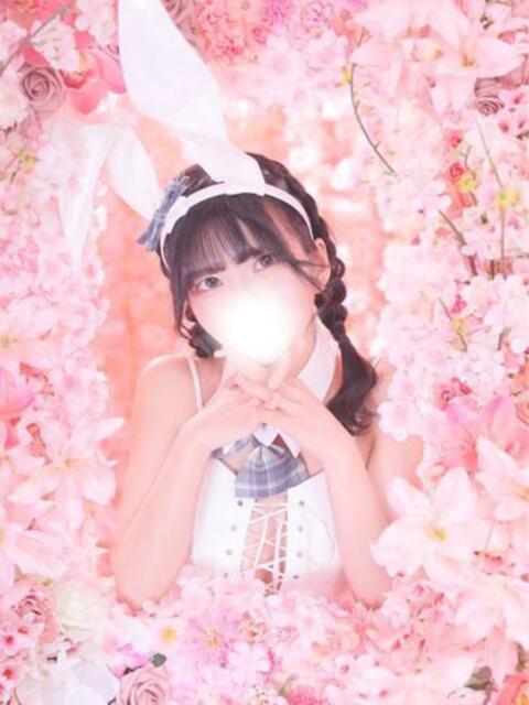 せいら JAPAN CLUB BUNNY LOUNGE（ソープランド）