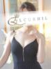 如月　みこと 川崎南町人妻高級ソープ エル・カーヒル(ELCURHIL)秘密の刻（/）