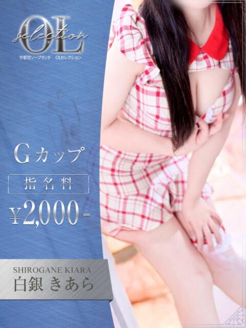 白銀 きあら OLセレクション宇都宮店（ソープランド）