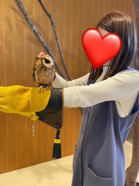 はるか 舐めフェチの会（クンニ専門オナクラ）