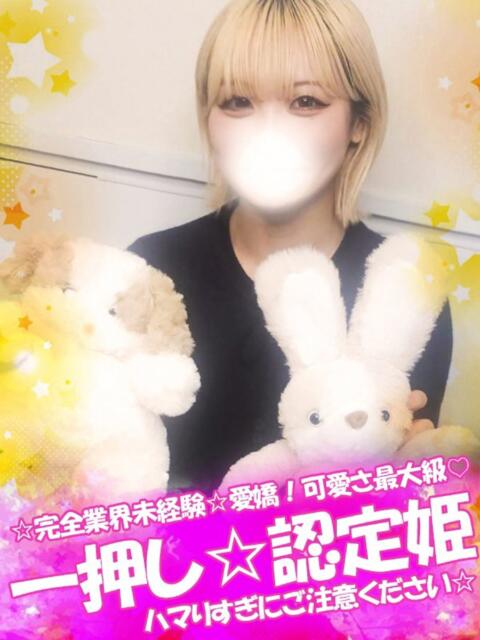 ひなた 君とふわふわプリンセスin立川（ぽっちゃりデリヘル）