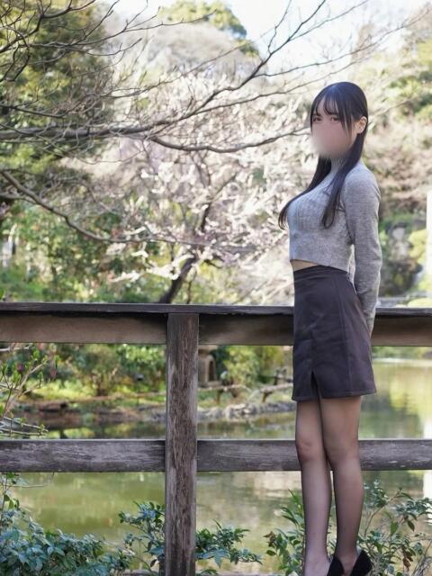 海野 なぎさ RANUNCULUS(ラナンキュラス)（高級デリヘル）