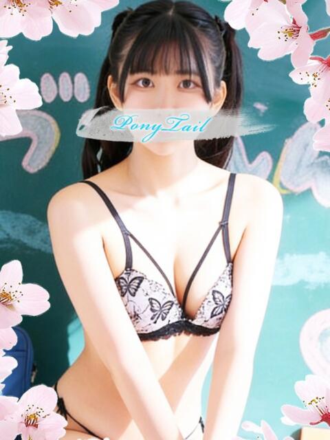 せな【Mットの魔術師】 ポニーテール和歌山店（ソープランド）