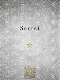 成海　愛結 ヴィクトリアクラブ東京（銀座/デリヘル）