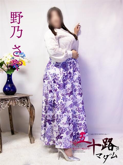 野乃さや 五十路マダム富山店(カサブランカグループ)（熟女デリヘル）