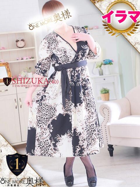 しずか One More 奥様　西船橋店（人妻デリヘル）