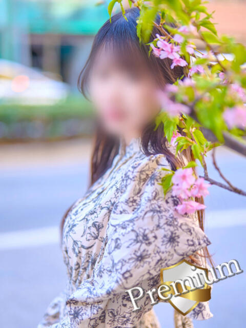 HITOMI CLUB FOCUS 六本木（高級デリヘル）