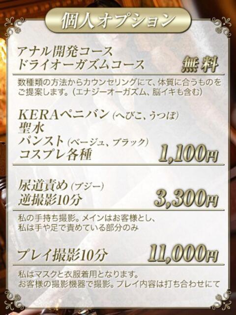 岸えり Salon du M-えっちなお姉さんのM性感デリバリー-五反田店（派遣型M性感）