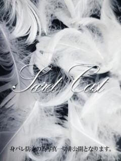 つばさ イキすぎハイスタイル富山（桜木町(富山市)/デリヘル）