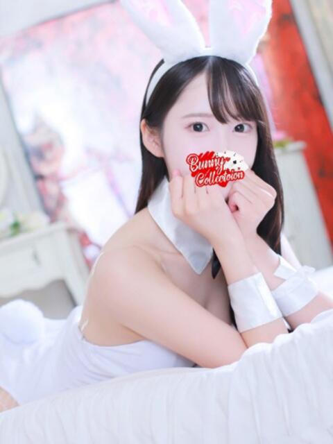 ミイ バニーコレクション新潟店（ソープランド）