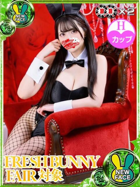 ノバラ バニーコレクション新潟店（ソープランド）