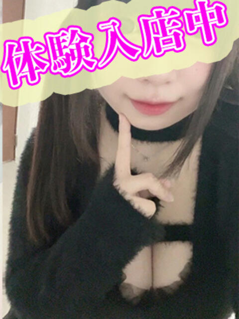 せな KIREI（五反田）（ぽっちゃり・巨乳専門デリヘル）