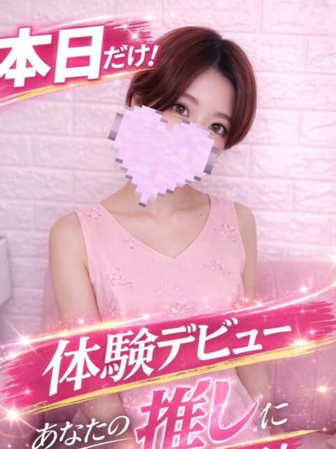 向日葵/ひまわり プロフィール 京都店(デリヘル)