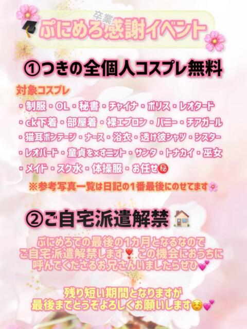 つきの ぽっちゃり巨乳素人専門店ぷにめろ西船橋店（ぽっちゃり系デリヘル）