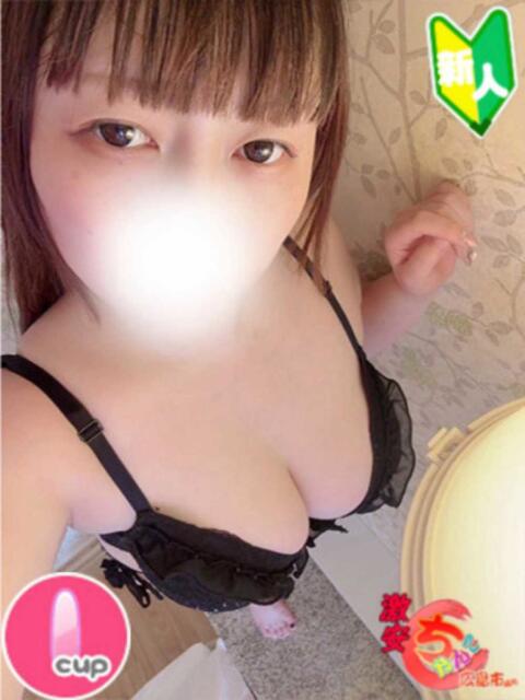 ぴの 広島市ちゃんこ（ぽっちゃりデリヘル）