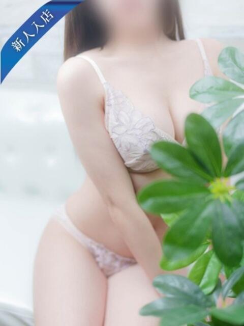 新人まどか 清楚系美女専門店PLATINUMプラチナム四日市店（デリヘル）