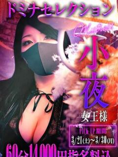 小夜女王様 クラブドミナ（十三/デリヘル）