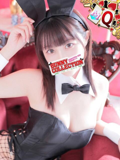 エリカ バニーコレクション秋田店（ソープランド）