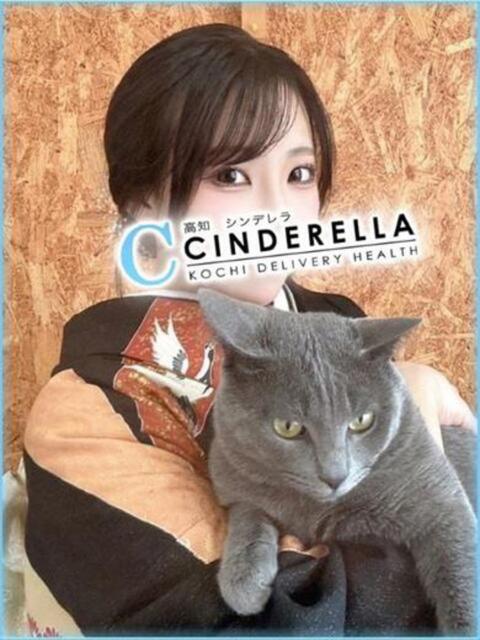 さとみ シンデレラ【平均年齢20才、風俗未経験の娘が8割以上】（デリヘル）