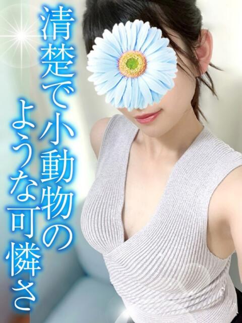 みか TAMANEGI(タマネギ)（【非風俗】メンズエステ）