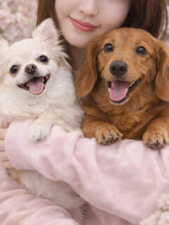 マリア デザインヴィオラ東京（品川/デリヘル）