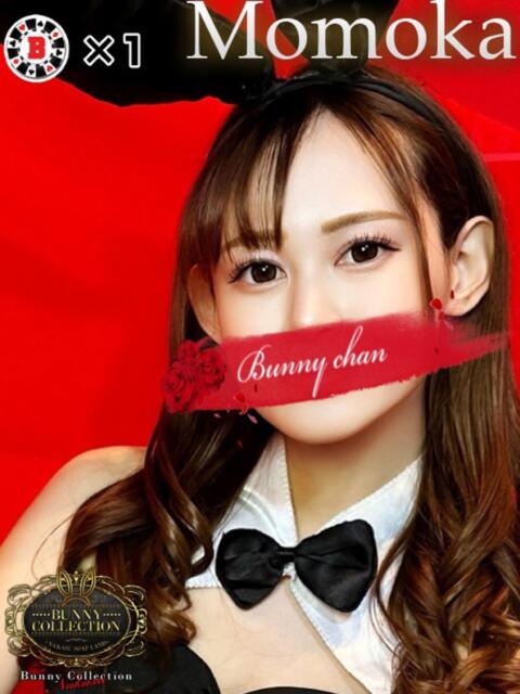 モモカ【可愛い系代表♡】 バニーコレクション 中洲店（ソープランド）