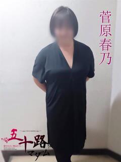 菅原春乃(すがわらはるの) 五十路マダムエクスプレス厚木店(カサブランカグループ)（本厚木/デリヘル）
