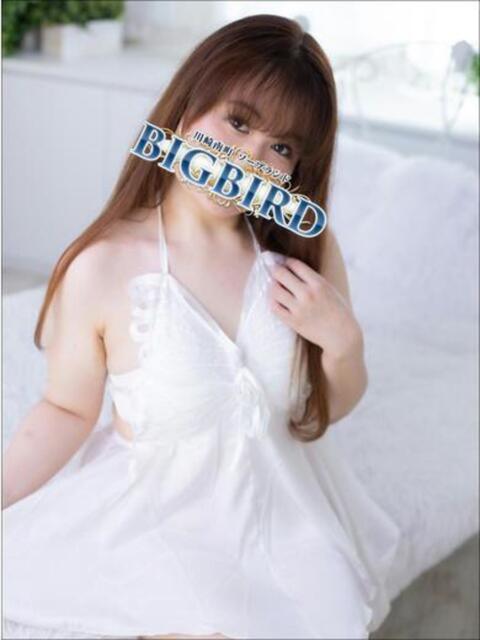 忍（しのぶ） ビッグバード（ソープランド）