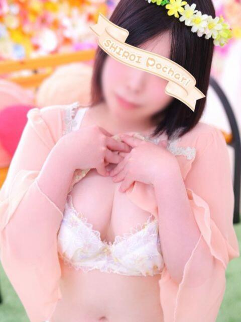 おとは 白いぽっちゃりさん仙台店（ぽっちゃり専門デリヘル）