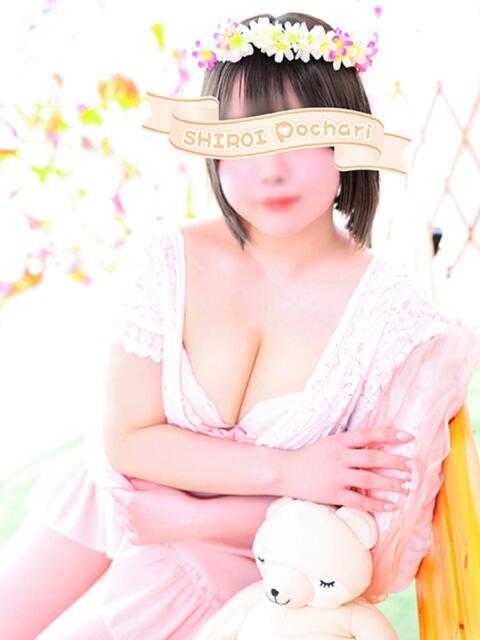 ちい 白いぽっちゃりさん仙台店（ぽっちゃり専門デリヘル）