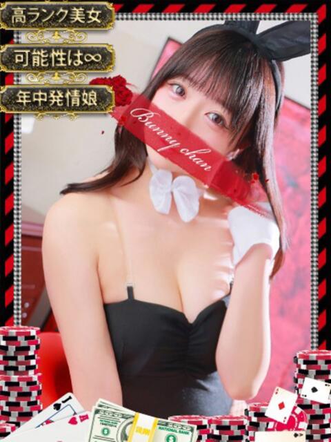 セシル【ルックス120点美女】 ドMなバニーちゃん和歌山店（ソープランド）