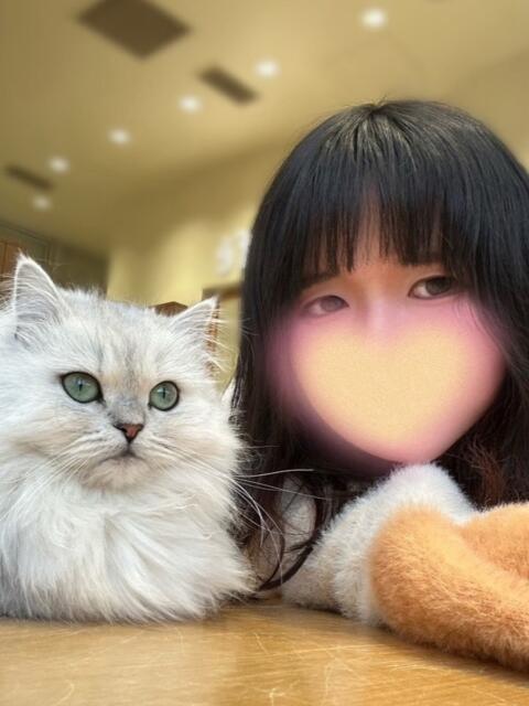 桃野あおい 五反田 エステスパ ～Esthe Spa～（【非風俗】メンズエステ）