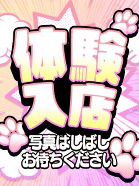 あおい【清楚系美人】 first call～ファーストコール～（デリヘル）