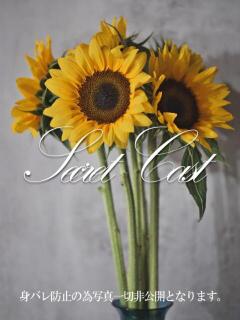 ありあ イキすぎハイスタイル富山（桜木町(富山市)/デリヘル）