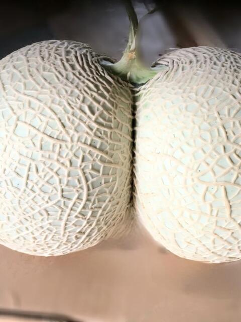 夕張 めろん AROMAGE（アロマージュ）（アロマエステ＆回春性感）