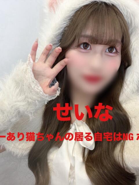 せいな Love Fantasy（ラブファンタジー）（デリヘル）