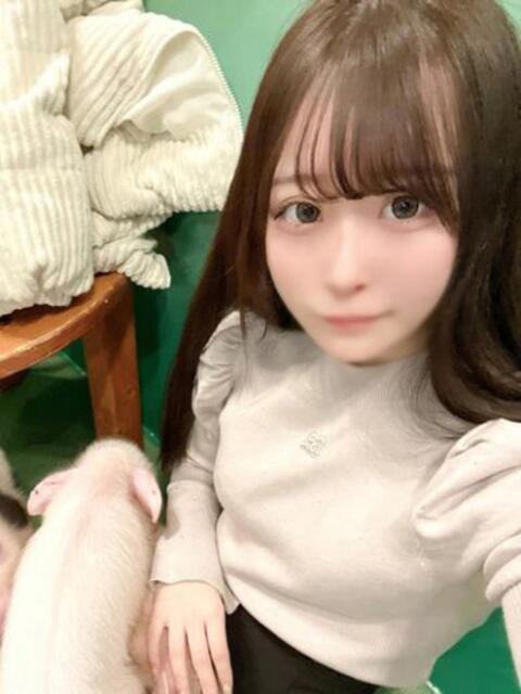 セイハ【可愛いさとエロギャップ】 CLUB CHELSEA(クラブ チェルシー)福井（デリヘル）